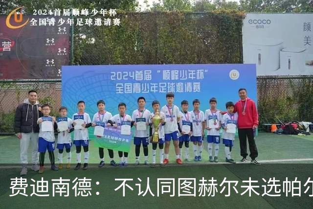 费迪南德：不认同图赫尔未选帕尔默的决定，后者在大赛证明过自己